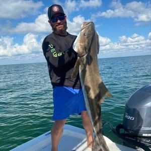 Meet your Posher, Vagner